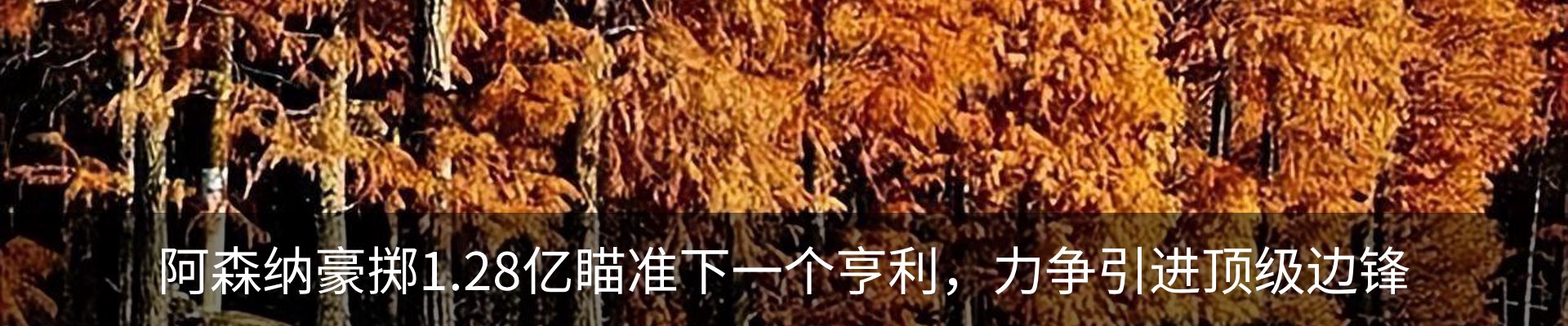 新闻中心